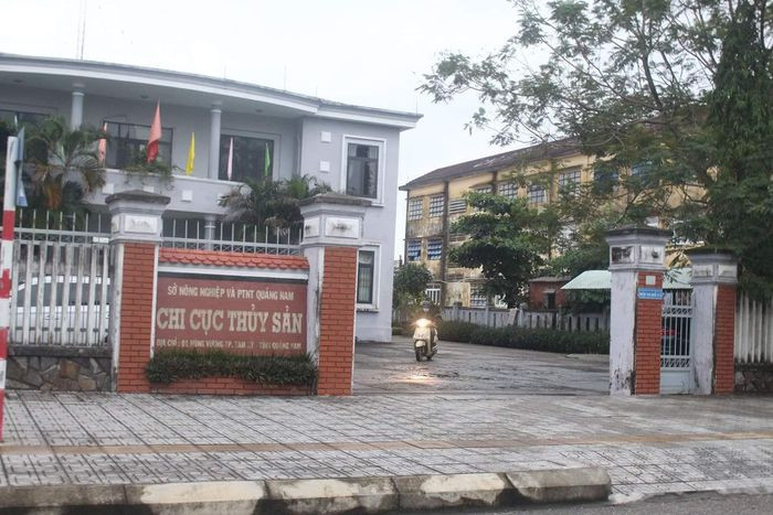  Cách chức Chi cục trưởng Chi cục Thủy sản Quảng Nam: Ngày 10/11, UBND tỉnh Quảng Nam cho biết vừa quyết định kỷ luật cách chức bà Phạm Thị Hoàng Tâm Chi cục trưởng Chi cục Thủy sản Quảng Nam, thuộc Sở NN&amp;PTNT. Với vai trò là người đứng đầu, bà Tâm để xảy ra hành vi vi phạm pháp luật nghiêm trọng trong phạm vi phụ trách. 