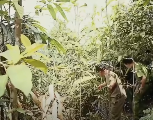 Hai bên giằng co, Khánh tát Phương, Phương đẩy Khánh ngã. Bực tức Khánh lấy dao thái chuối chém Phương. Dù bị thương nhưng Phương bỏ chạy hướng về nhà bà Triệu Thị Thái (gần nhà Phương), vừa chạy vừa hô lên “Bà bá ơi, Khánh giết người”. Không thấy ai trả lời và mở cửa, Phương tiếp tục bỏ chạy về phía nhà Triệu Thị Coi sinh năm 1993 là em dâu của Phương cách nhà Phương khoảng hơn 100m. 