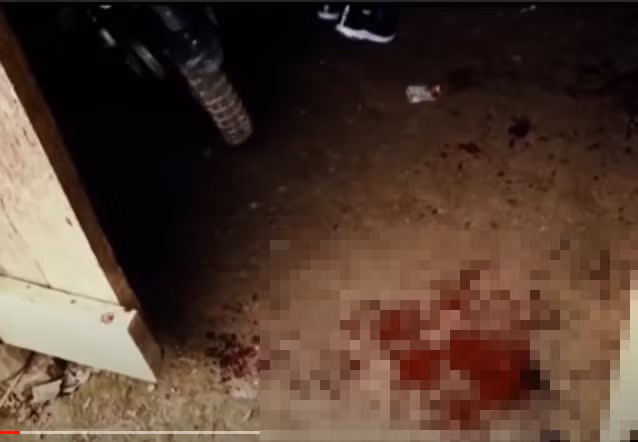 Trong khi đuổi chém Phương, Khánh nhìn thấy bà Lý Thị Dâm ở trên giường ngủ. Mặc dù bà Dâm van xin nhưng Khánh vẫn dùng dao chém nhiều phát vào người bà Dâm làm bà Dâm gục trên giường. Tiếp đó Khánh dùng dao chém vào đầu và chân của Triệu Văn Tiến, sinh năm 2012 (là con của Coi) ở gần cửa ra vào, nạn nhân chết tại chỗ. 