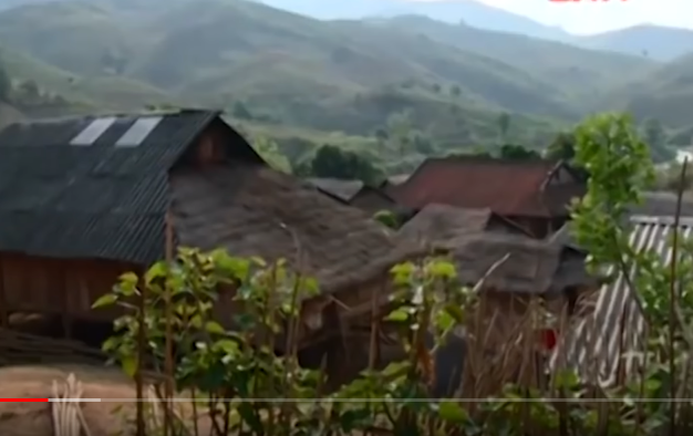 Mồi nhử được kẻ buôn người đưa ra, một công việc nhà nhã có thu nhập cao ở tỉnh Quảng Ninh. Hiền còn nói thêm do là bạn bè quen biết nhau nên mới ưu tiên cho Tuyết, chỗ làm là của chị gái Hiền, Triệu Thị Sai quản lý, nếu Tuyết không quyết định ngay thì sẽ có nhiều người khác đang ký theo Hiền ra Quảng Ninh làm việc. 