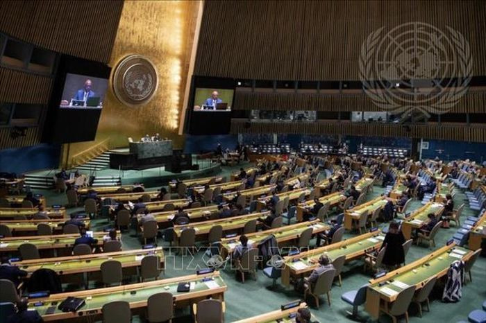 Viet Nam tai dac cu vao Uy ban Luat quoc te cua LHQ-Hinh-2