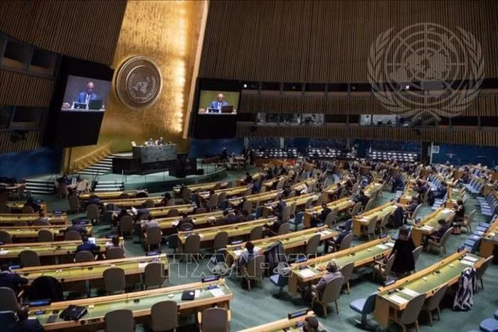 Viet Nam tai dac cu vao Uy ban Luat quoc te cua LHQ-Hinh-2