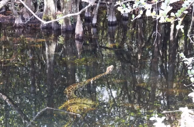 (Nguồn Boredomtherapy)