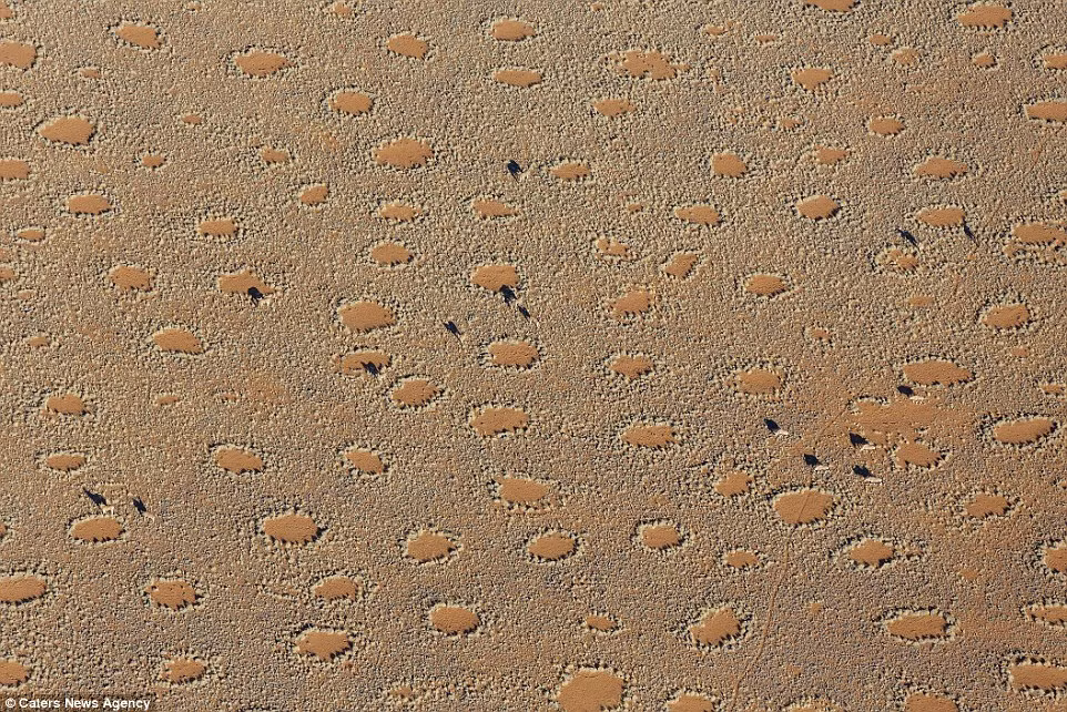 Còn trong dân gian, truyền thuyết địa phương nói rằng các vòng tròn cổ tích là những bước chân của các vị thần và dấu vết của những con rồng sống dưới mặt đất. (Nguồn Dailymail)