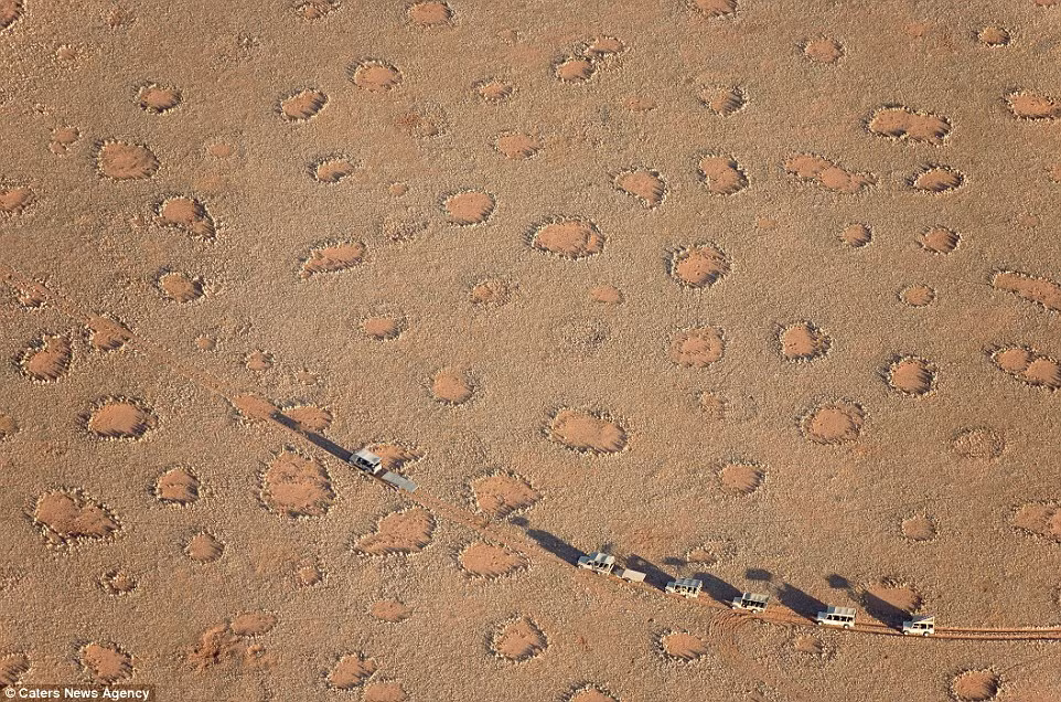 Bên cạnh đó, nhà nghiên cứu Robert Pringle, đồng tác giả của nghiên cứu cũng cho rằng loài mối không hề cố ý tạo ra những vòng tròn bí ẩn này. (Nguồn Dailymail)