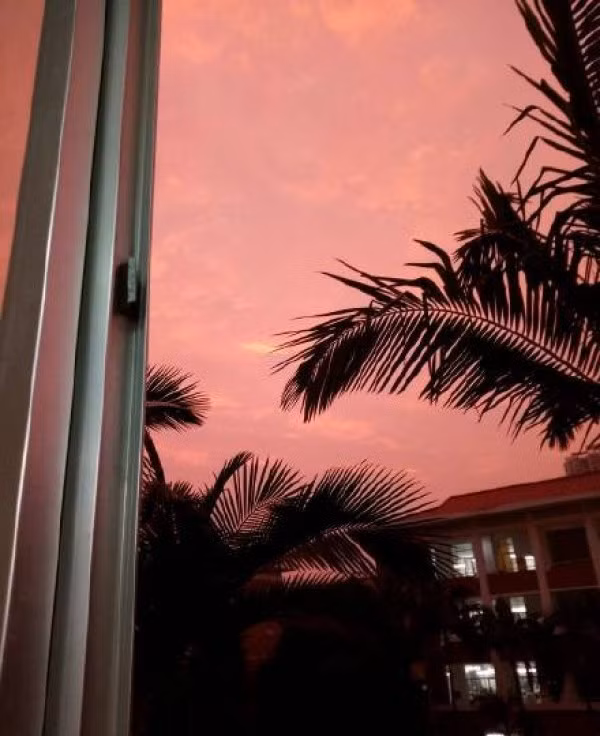 Tuy vậy, cư dân mạng dường như vẫn không hài lòng với câu trả lời các nhà nghiên cứu. (Nguồn Sina)