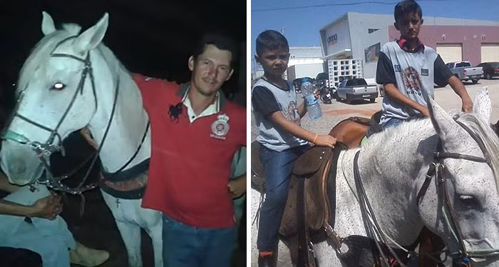 Wagner Figueiredo de Lima và con ngựa trắng tinh khôn của anh thực sự là đôi bạn thân không thể tách rời. Cho đến một ngày bi kịch xảy ra, Wagner gặp một tai nạn giao thông thảm khốc và không thể qua khỏi, để lại con ngựa cưng bơ vơ trên cõi đời. (Nguồn Bored Panda)