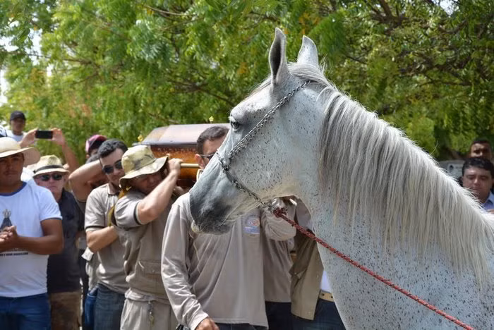 Anh Wando cho biết, sau khi anh trai ra đi, gia đình sẽ tiếp tục chăm sóc con ngựa của anh thật chu đáo, cho nó một mái ấm thực sự. (Nguồn Bored Panda)
