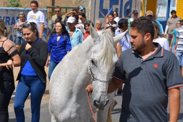 Trong ảnh là cảnh tượng con ngựa trắng cúi gằm mặt khi bước đi trong lễ đưa tang của chủ nhân. Trên khuôn mặt nó không giấu được sự đau đớn. (Nguồn Bored Panda)