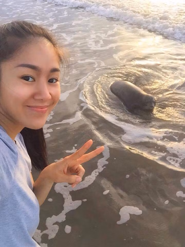 Diễn viên Lê Phương cũng từng có dịp chụp ảnh cùng chú hải cẩu thân thiện ở Phan Rí Cửa, Tuy Phong, Bình thuận.