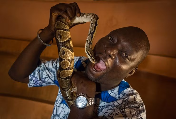 Giống như Nabeel Mussa, nhiều dị nhân trên thế giới cũng có sở thích kỳ quặc là thân mật với các loài động vật hoang dã nguy hiểm. (Nguồn Sina)