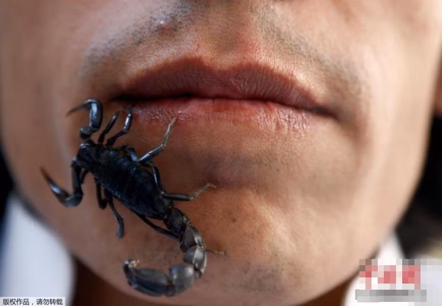 Khi xem những màn trình diễn của Nabeel Mussa, người xem không khỏi rợn tóc gáy vì ghê sợ. (Nguồn 163)