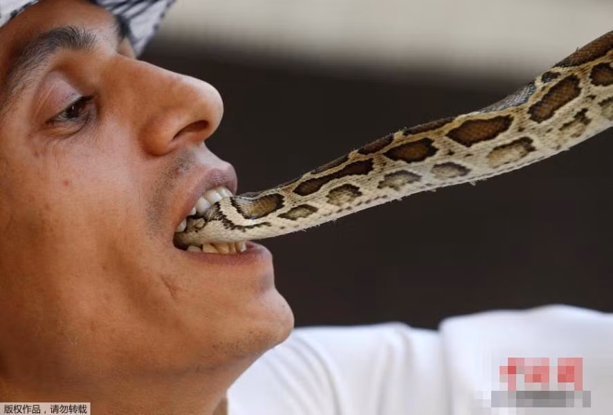 Mặc cho hành động mạo hiểm này có thể gây nguy hại đến tính mạng của chính bản thân mình. (Nguồn 163)