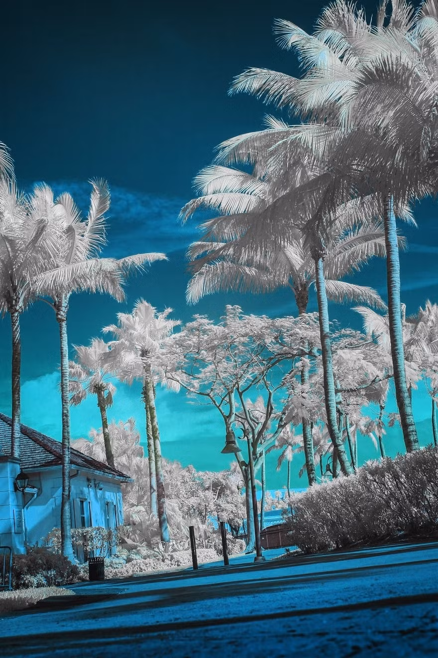 Rất nhiều người tỏ ra kinh ngạc khi nhiếp ảnh gia James Zwadlo thực hiện bộ ảnh tuyệt vời chỉ với một chiếc máy ảnh và ánh sáng hồng ngoại. (Nguồn Sina)