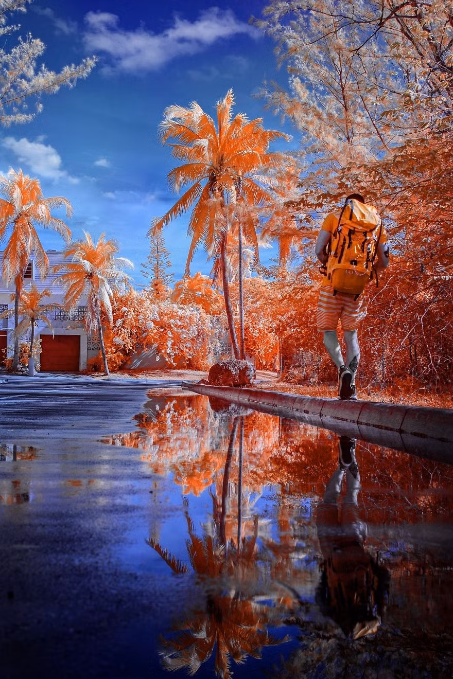 Bằng cách sử dụng camera hồng ngoại, nhiếp ảnh gia James Zwadlo đã giúp người xem được mở mang, nhìn nhận thế giới kỳ lạ theo một cách mới, qua những màu đơn sắc rực rỡ, lộng lẫy. (Nguồn Sina)