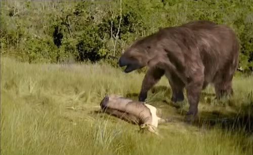 Kích thước to lớn và chiều cao khủng cho phép Megatherium có thể dễ dàng kiếm được thức ăn tươi ngon mà một số loài động vật ăn cỏ khác không thể với tới. Chiếc đuôi lớn, cứng cáp cũng là một trong những bộ phận quan trọng giúp Megatherium có thể cân bằng cơ thể.