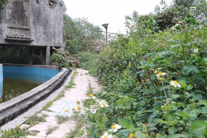 Nhiều nơi cỏ mọc um tùm do công viên bỏ hoang 3-4 năm không có người chăm sóc.