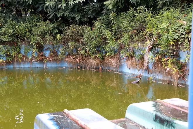 Dòng nước bẩn đậm màu xanh của rong rêu, bốc mùi hôi, đặc biệt vào những ngày nắng nóng.