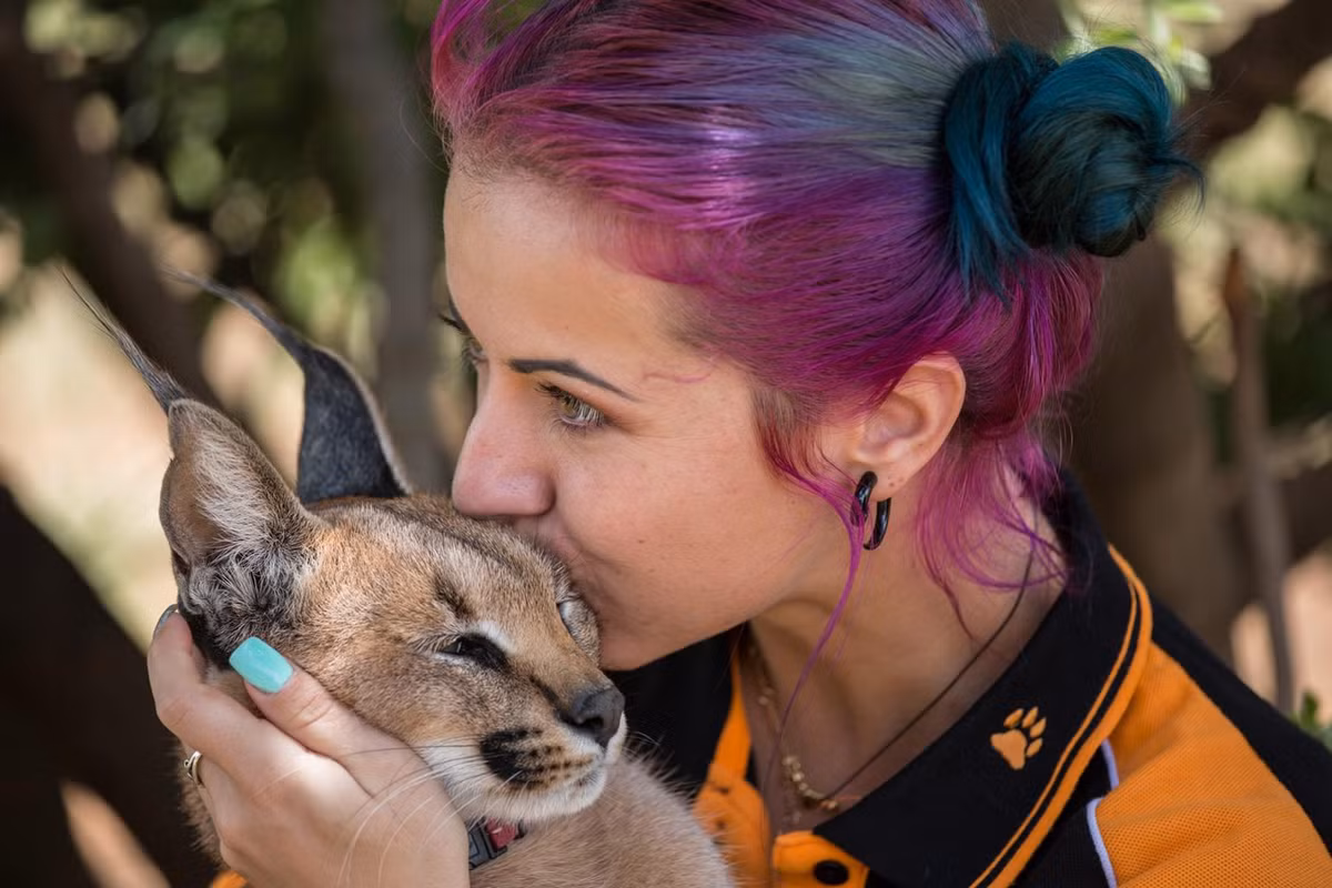 Trong ảnh là Maxine đang hôn lên má của một con linh miêu tai đen. (Nguồn CGTN)