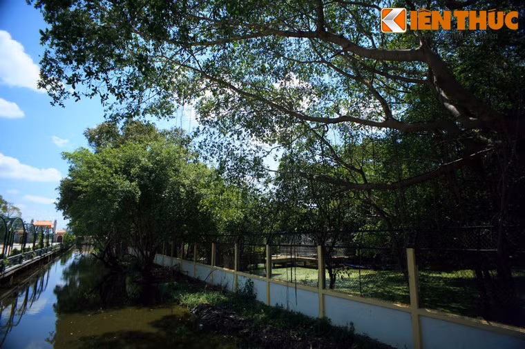 Vườn chim này được xây dựng từ năm 1995, đến khoảng năm 1997 chính thức đi vào hoạt động.