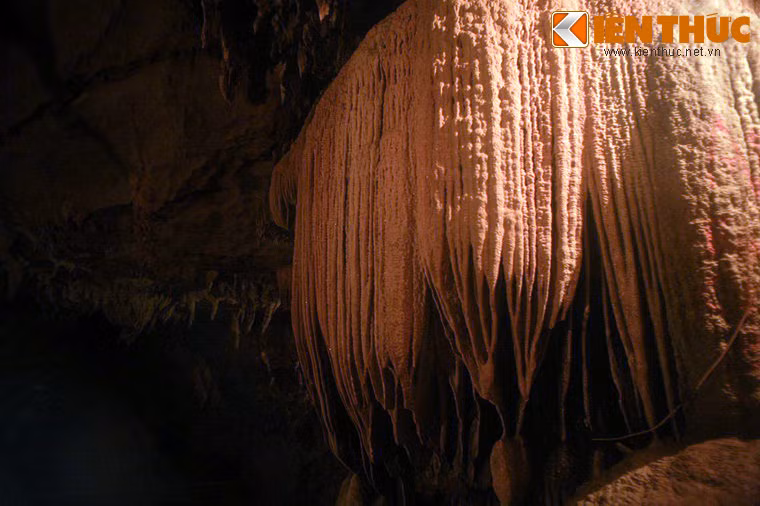 Động Tiên Sơn có đáy khá phẳng, trần cao, được chia làm 49 cung nối tiếp nhau chạy dài thông qua hai sườn núi. Càng vào sâu bên trong, diện tích các cung càng lớn. Trong động có nhiều nhũ đá, măng đá hình thù kỳ lạ, sinh động. Dưới lòng động có suối chảy luồn lách qua các cung.