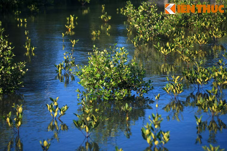 Mỗi năm, vùng đất này hằng năm lấn ra biển hàng chục mét, do sự bồi đắp rất lớn.