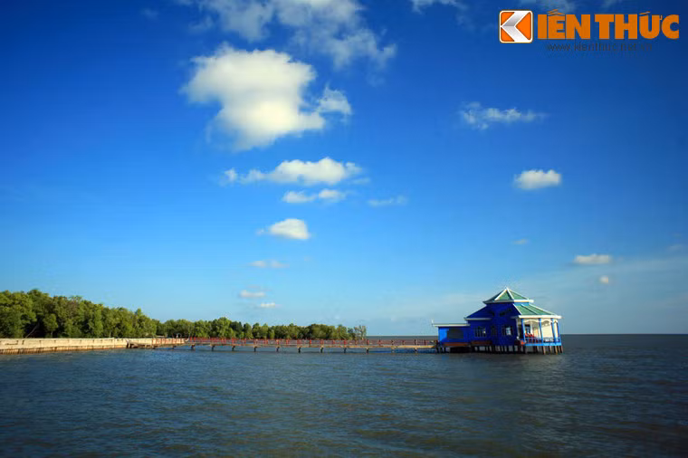 Hiện tại, du khách phải đi bằng đường thủy từ thị trấn Năm Căn để đến được mũi Cà Mau. Trong tương lai gần, tuyến đường bộ Năm Căn - Đất Mũi sẽ giúp cho việc tiếp cận mảnh đất cực Nam trở nên dễ dàng hơn rất nhiều.