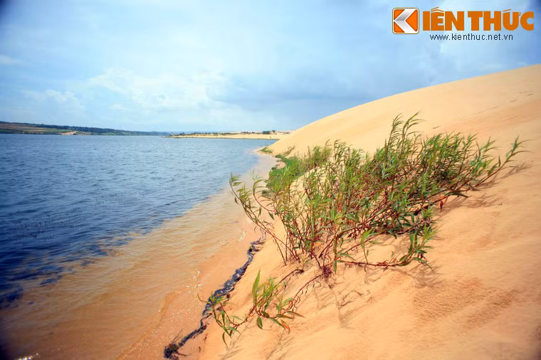 Sử liệu cũ ghi rằng, năm 1867 khi Nguyễn Thông đi ngang qua đây, thấy cảnh đẹp của Bàu Trắng mà cụ gọi là "Bạch Hồ". "Bạch Hồ" bắt đầu xuất hiện trong thơ của Nguyễn Thông và cũng từ đó trở thành tên mà giới thi nhân gán cho Bàu Trắng.