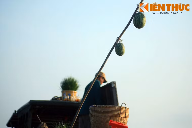 Trên các ghe thuyền ở chợ chất đầy hàng hoá, phổ biến là các loại trái cây, các sản phẩm miệt vườn được treo lủng lẳng trên một cây sào cắm trước mũi ghe mà người địa phương gọi là “cây bẹo”.