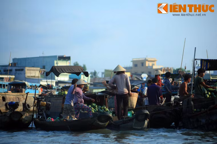 Với hình thức buôn bán đặc thù trên ghe thuyền, chợ là một đầu mối kinh doanh các loại trái cây, đặc sản quan trọng của miền Tây Nam bộ.