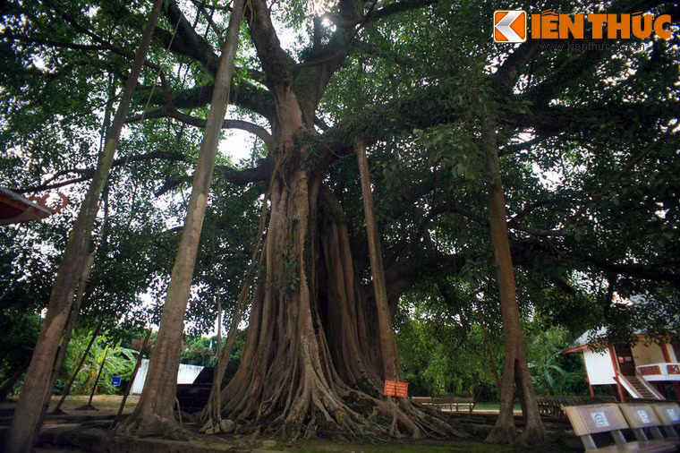 Ngôi đền đã trở thành một điểm địa điểm tâm linh quan trọng của Điện Biên, thu hút đông đảo du khách thập phương trong ngày rằm, đầu xuân năm mới, nhất là ngày lễ hội truyền thống vào các ngày 24, 25 tháng Hai Âm lịch hàng năm.