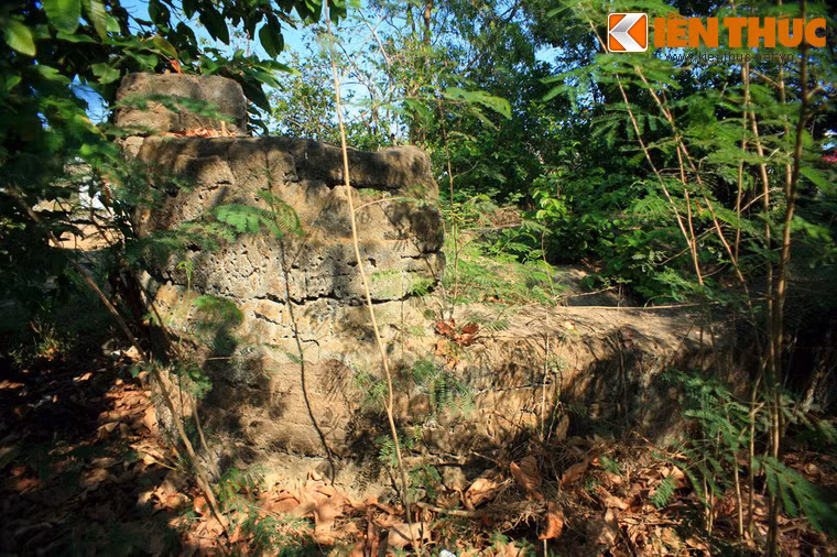 Mộ tọa lạc trên mảnh đất rộng chừng 500m vuông đất hoang, cây cỏ rậm rạp.