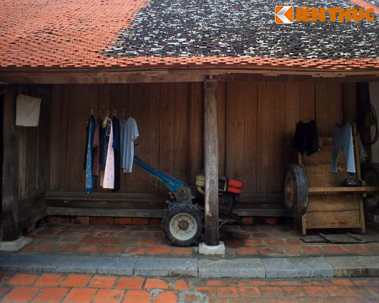 Cột nhà được làm bằng những loại gỗ quý, chịu lực như gỗ táu, sến, lát… Chân cột đặt trên đế bằng đá tảng mang dấu tích nhà từ đường của người Việt ở nông thôn.