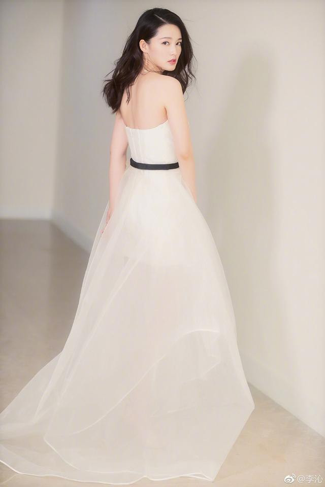 Mỹ nhân sinh năm 1990 bắt đầu diễn xuất từ năm 18 tuổi trong bộ phim "Tân Hồng lâu mộng". Lý Thấm cho biết cô được học Côn khúc từ nhỏ và dự định sẽ xin vào Rạp hát Côn kịch Thượng Hải, bắt đầu sự nghiệp diễn Côn khúc. Thế nhưng vì đam mê diễn xuất nên khi được mời đóng phim, cô đã nhận lời và quyết định đó đã làm thay đổi cuộc đời Lý Thấm.