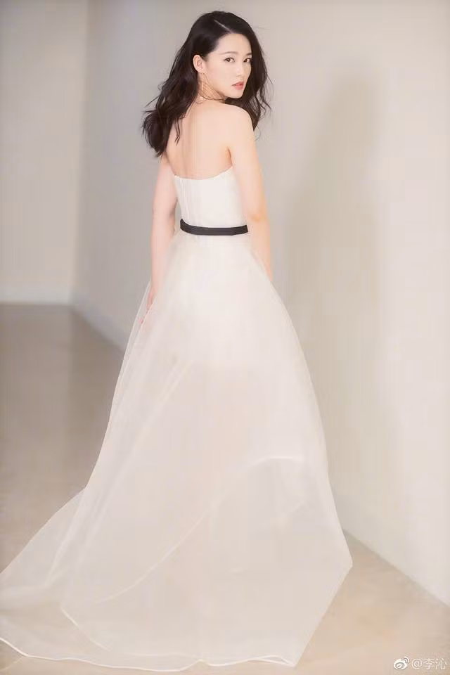 Mỹ nhân sinh năm 1990 bắt đầu diễn xuất từ năm 18 tuổi trong bộ phim "Tân Hồng lâu mộng". Lý Thấm cho biết cô được học Côn khúc từ nhỏ và dự định sẽ xin vào Rạp hát Côn kịch Thượng Hải, bắt đầu sự nghiệp diễn Côn khúc. Thế nhưng vì đam mê diễn xuất nên khi được mời đóng phim, cô đã nhận lời và quyết định đó đã làm thay đổi cuộc đời Lý Thấm.