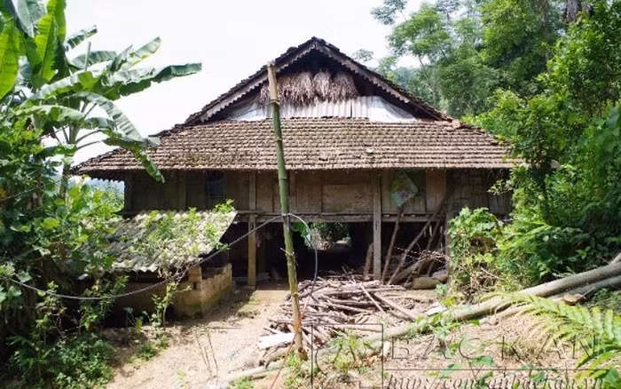  Nghi vấn bé gái 7 tuổi ở Bắc Kạn bị anh họ hiếp dâm: Ngày 21/6, Công an tỉnh Bắc Kạn cho biết đang điều tra, làm rõ về việc bé gái Đ.T.L., sinh ngày 8/10/2015 bị chính anh họ của mình là T. T. V, (sinh năm 2007, trú tại huyện Chợ Đồn, tỉnh Bắc Kạn) thực hiện hành vi hiếp dâm xảy ra tại thôn Bằng Viễn 1, xã Phương Viên, huyện Chợ Đồn.