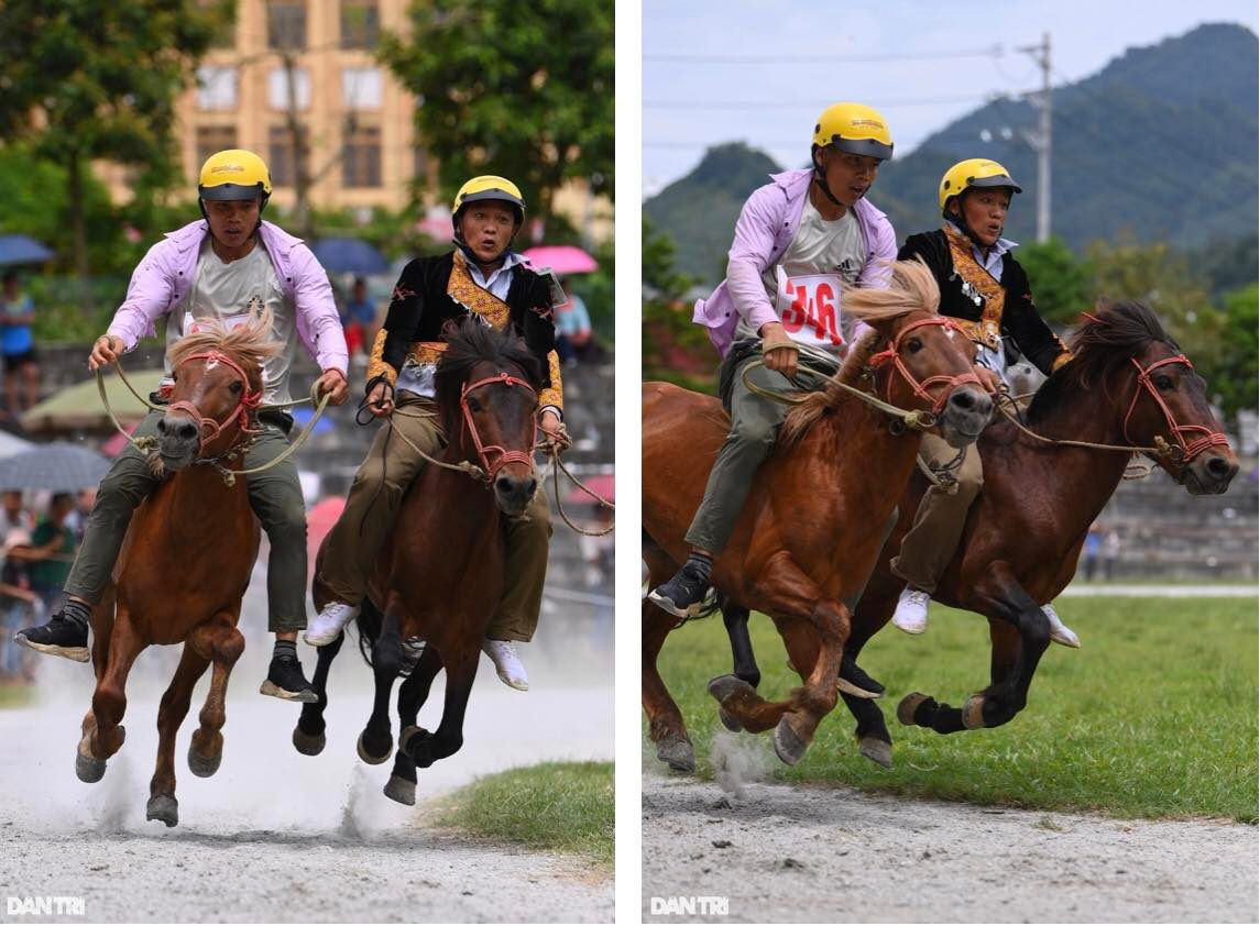 Mỗi lượt chỉ chọn ra duy nhất 2 ngựa đua về đích đầu tiên, do đó cuộc đua diễn ra rất kịch tính và căng thẳng. Nhiều lượt đua chứng kiến cuộc so kè song mã từ vòng đầu tới vòng cuối của hai nài ngựa cân tài cân sức.