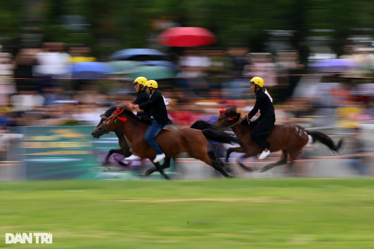 Ban tổ chức sẽ chọn ra 32 nài ngựa xuất sắc nhất để vào thi đấu vòng chung kết diễn ra ngày 12/6.