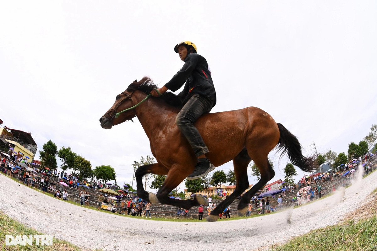 Hơn 10 năm trước đây, cuộc thi đua ngựa Bắc Hà tổ chức vẫn ở quy mô phong trào, khá sơ sài khi nài ngựa còn đi chân đất, dép tổ ong, không có mũ bảo hiểm. Nhiều tình huống tai nạn ngã ngựa khi thi đấu cũng đã khiến BTC đưa ra các quy định để đảm bảo an toàn hơn cho các nài ngựa. Ngoài quy định chặt chẽ về việc đội mũ bảo hiểm (do BTC cấp) và đi giày, một số nài ngựa còn tự trang bị thêm cho mình những bộ giáp bảo vệ khủyu tay, đầu gối và ống đồng.
