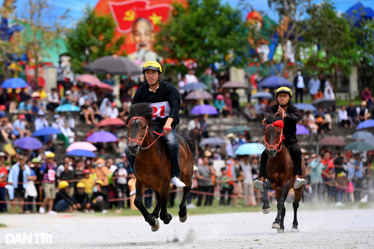 Đông đảo người dân địa phương, du khách khắp nơi đổ về theo dõi cuộc thi. Sau nhiều năm không thể tổ chức, người dân rất háo hức mong chờ lễ hội đua ngựa đặc trưng chỉ có ở tỉnh Lào Cai.