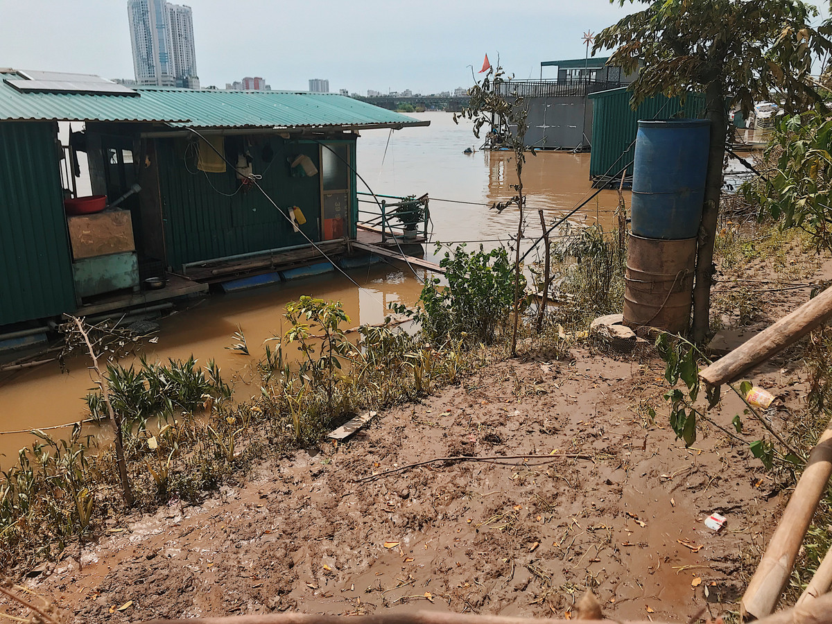 Những căn nhà được che chắn tạm bợ bằng những tấm bìa carton, gỗ ép, mái được lợp bằng Fibro xi măng.