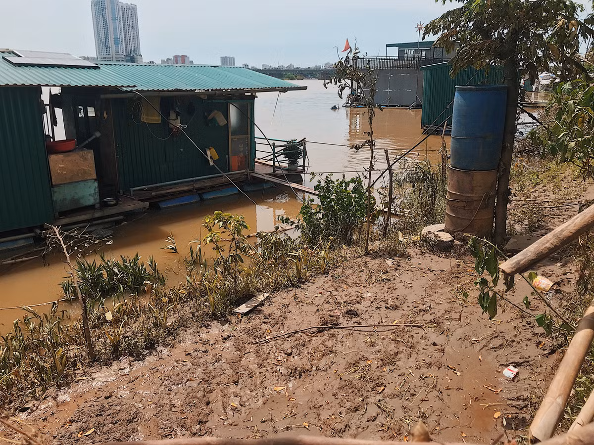 Những căn nhà được che chắn tạm bợ bằng những tấm bìa carton, gỗ ép, mái được lợp bằng Fibro xi măng.