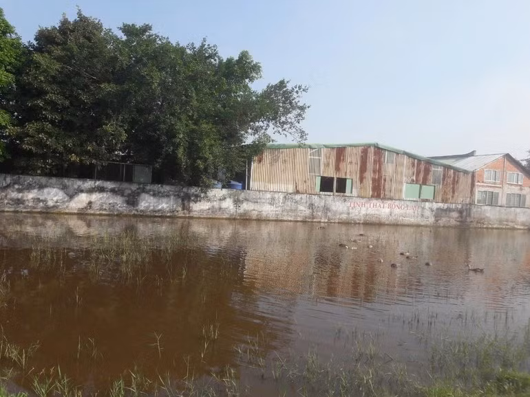 Tiet lo ly do de tu quy lay, ton sung Le Tung Van-Hinh-13