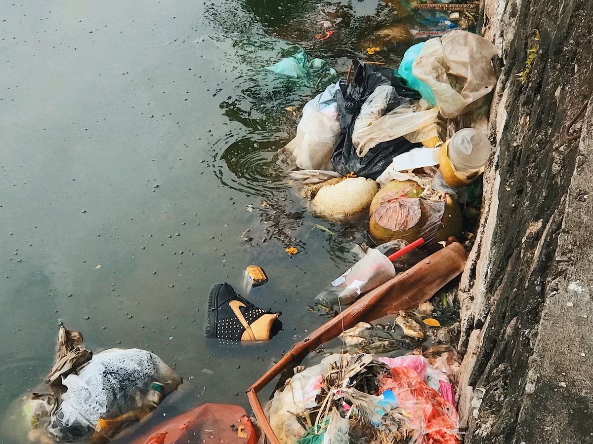 Rác thải sinh hoạt, đồ ăn hàng quán bán thừa... không gì là người ta không vứt xuống Hồ Tây.