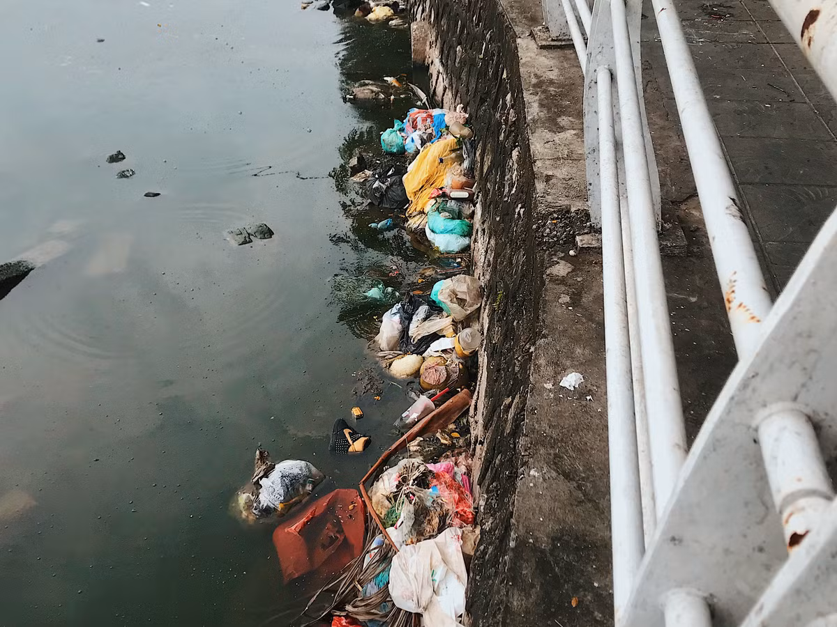 Chỉ cần đi 1 vòng quanh Hồ Tây, không khó để bắt gặp những cảnh tượng thế này.