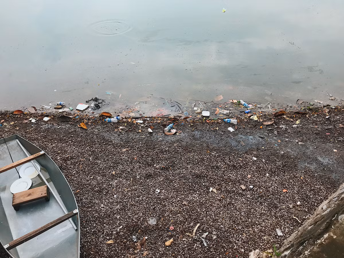 Một góc hồ bên đường Trích Sài - Nguyễn Đình Thi ngập đầy vỏ ốc từ các quán ven đường đổ xuống bốc mùi hôi thối.