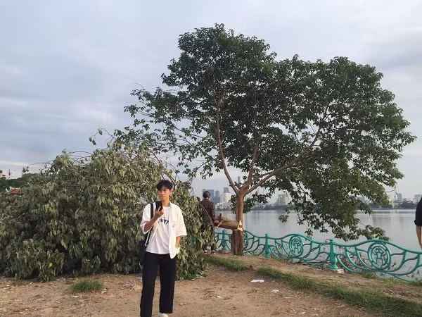 Các bạn đều cảm thấy rất tiếc nuối vì họ có rất nhiều kỷ niệm với "cây cô đơn".