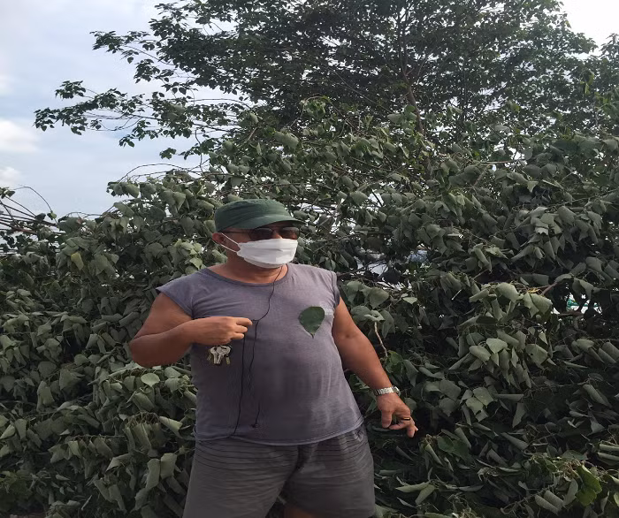 "Cây được trồng từ khi có bãi đất trống này từ lâu rồi, không hiểu ai lại ác ý trộm chặt cây như vậy" - bác Lâm ( SN 1962, cư dân quận Tây Hồ) nói.