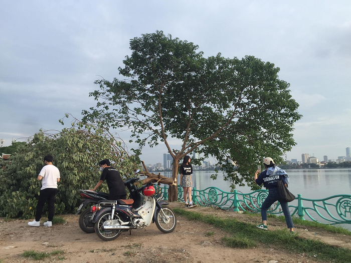 "Mình đã đến đây rất nhiều lần với bạn bè, người yêu và khi biết cây bị chặt khiến mình cảm thấy vô cùng tiếc nuối vì cây cô đơn gắn bó với rất nhiều kỷ niệm của tụi mình" - bạn Anh Quân (SN 2001) chia sẻ.