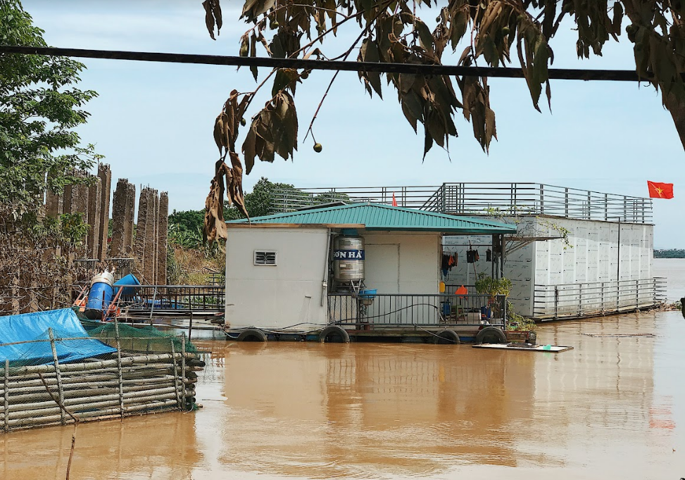 Nhà bè của các gia đình sinh sống ở khu vực bãi giữa sông Hồng như một một ốc đảo chông chênh, ọp ẹp.